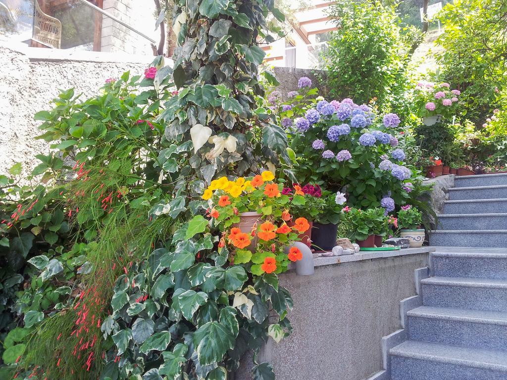 בודווה Panorama Apartments מראה חיצוני תמונה