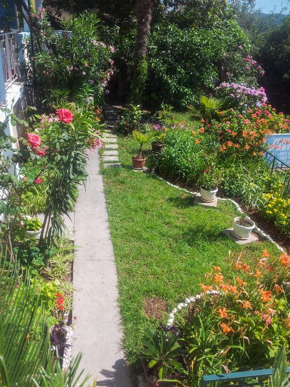 בודווה Panorama Apartments מראה חיצוני תמונה