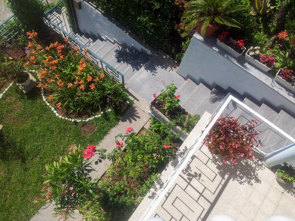 בודווה Panorama Apartments מראה חיצוני תמונה